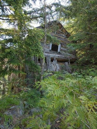 IMG_20210703_104051033